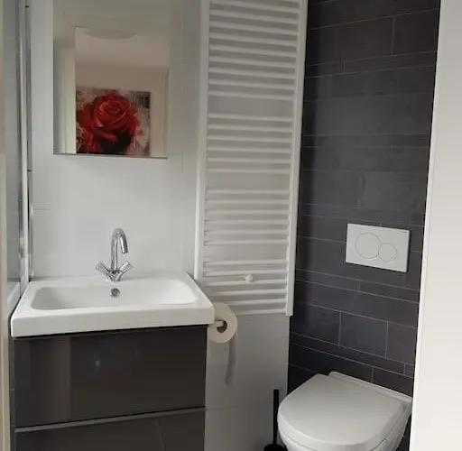 Zomerhuisje 18k - 1 Km Het דירה